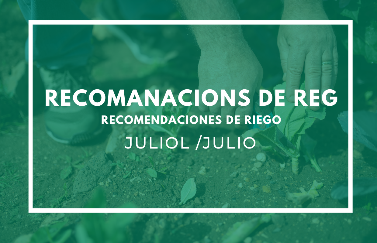recomanacions de reg JULIOL